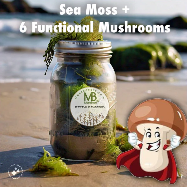 MEGA MUSHROOM MOSS: Sea Moss Gel + 6 of the main Functional Mushrooms Plain or with Organic Fruit